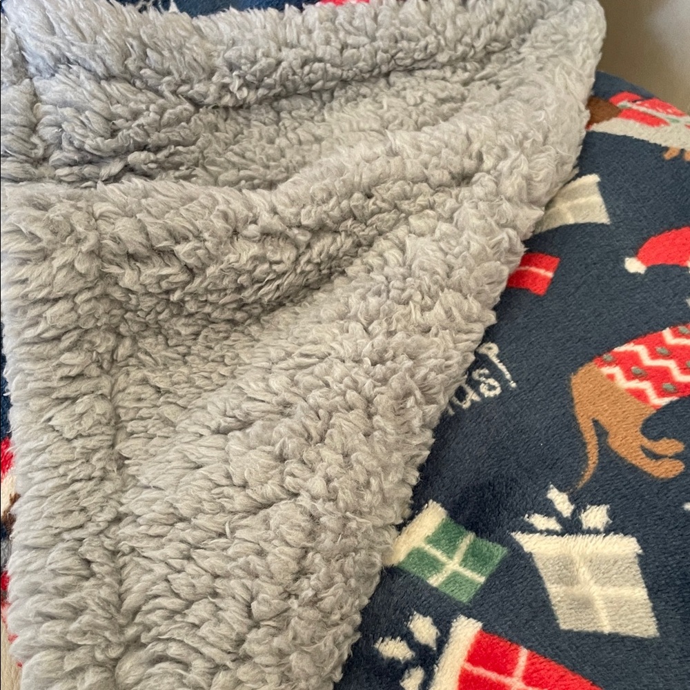 Dachshund themed Berkshire Pet Collection Festive Blue Blanket - Picture 3 of 8
